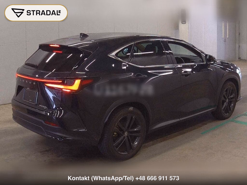 LEXUS NX NX350H VERSION L, miniaturka 6