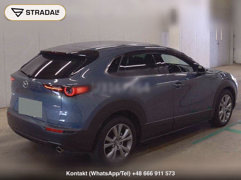 MAZDA CX-30 20S PROACTIVE TOURING SELECTION, miniaturka 6