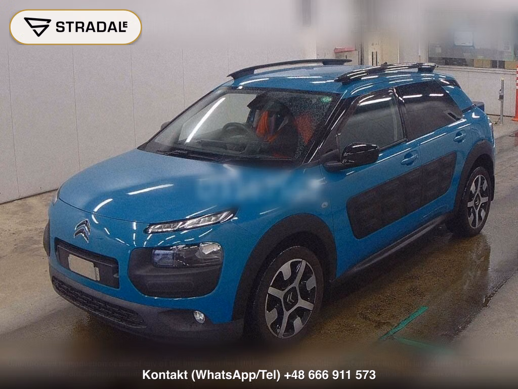 CITROEN C4 CACTUS BASE GRADE, miniaturka 5