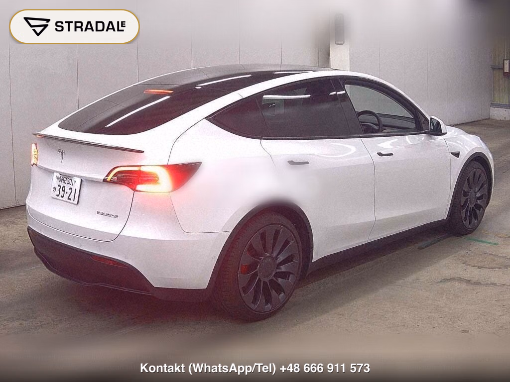 TESLA MODEL Y 4WD PERFORMANCE, miniaturka 6