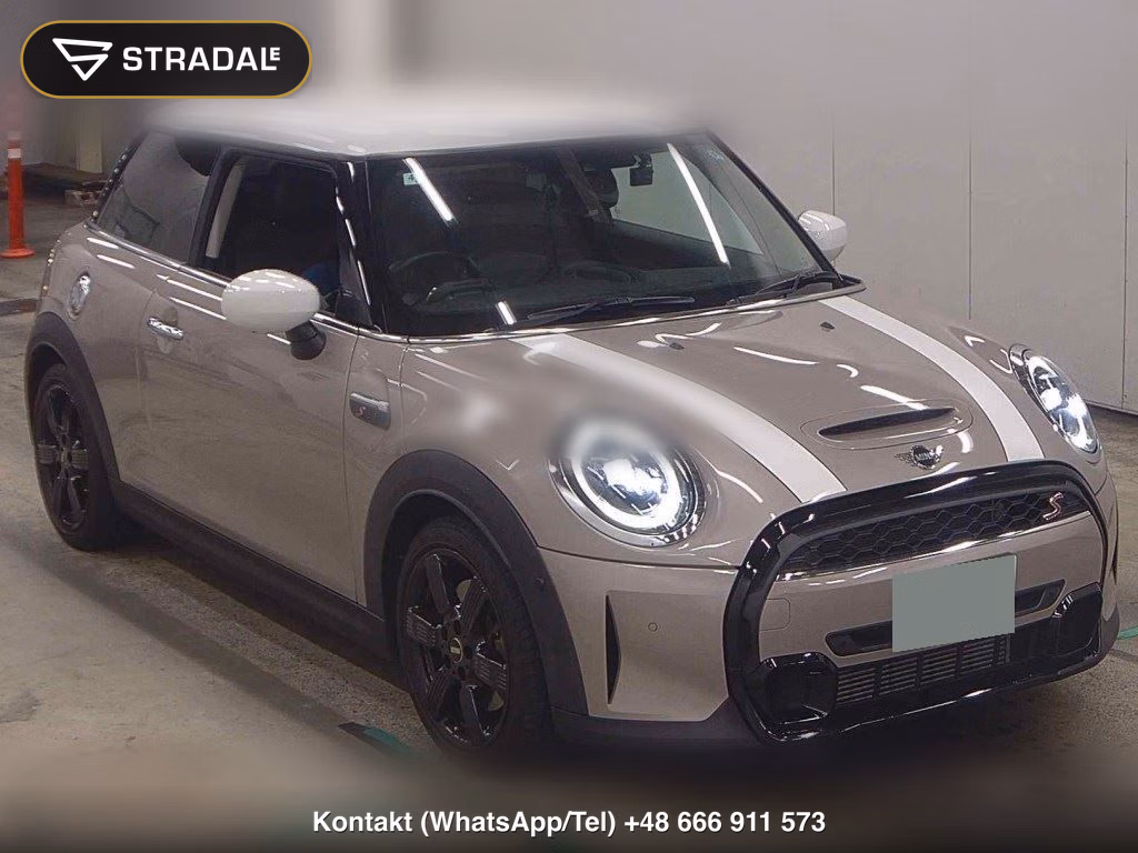 MINI MINI 3D OTHERS 2022, aukcja z Japonii, zdjęcie 1
