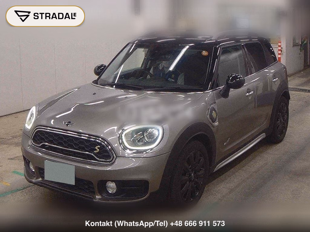 MINI MINI 5D 4WD COOPER SE CROSSOVER ALL 4, miniaturka 5
