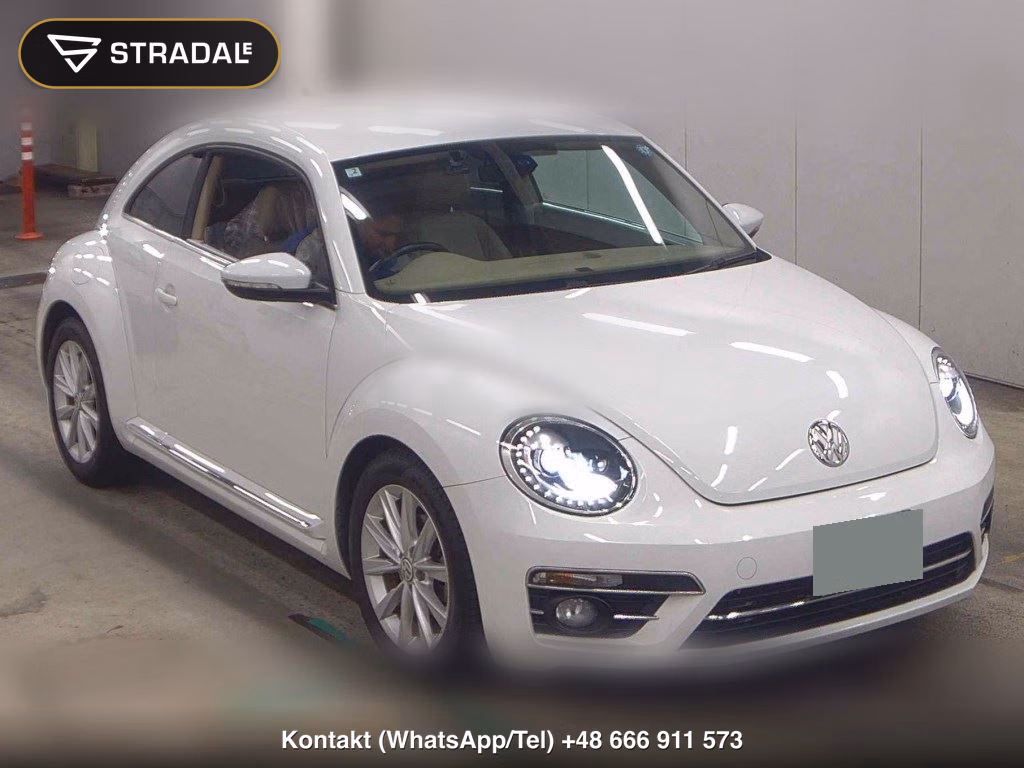 VOLKSWAGEN THE BEETLE OTHERS 2019, aukcja z Japonii, zdjęcie 1