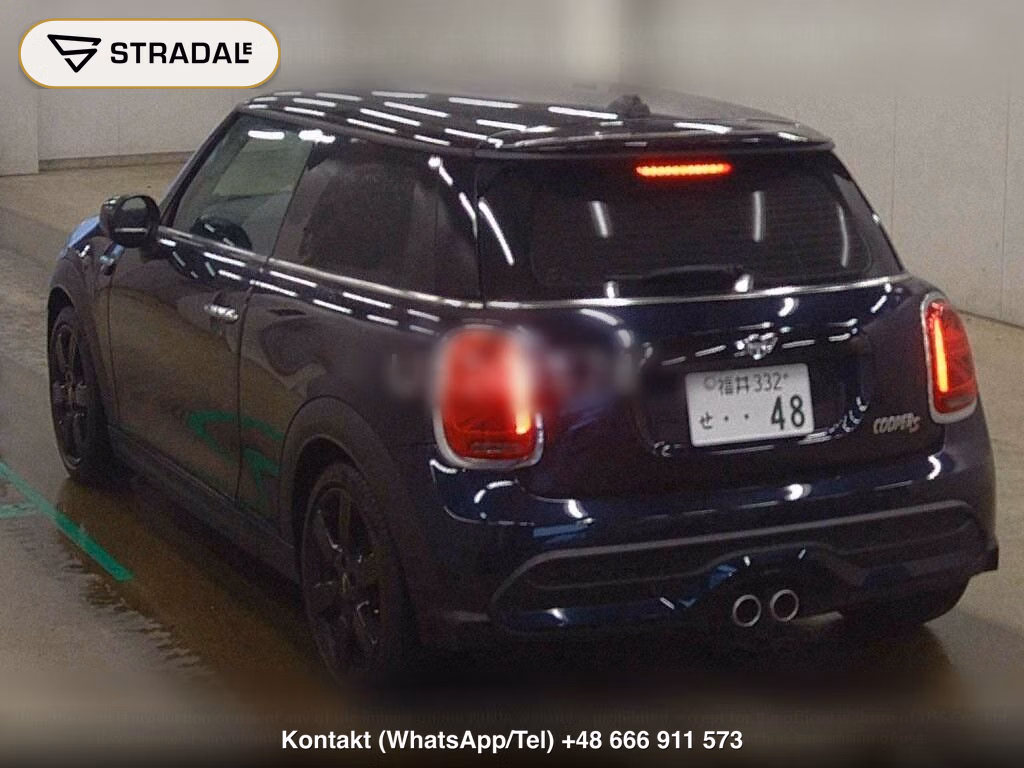 MINI MINI 3D COOPER S, miniaturka 3