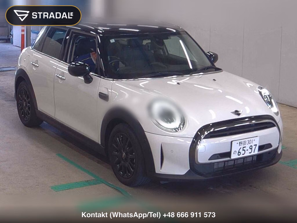 MINI MINI 5D OTHERS 2024, aukcja z Japonii, zdjęcie 1
