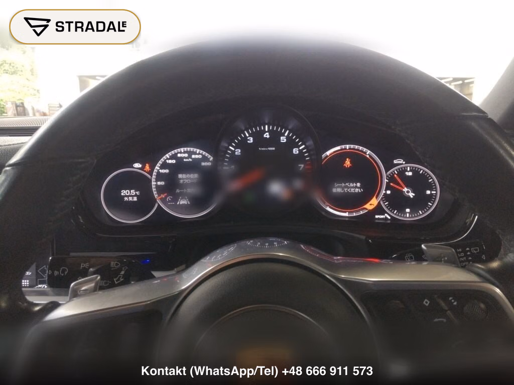 PORSCHE PANAMERA WG 4WD 4 SPORT TURISMO, miniaturka 7