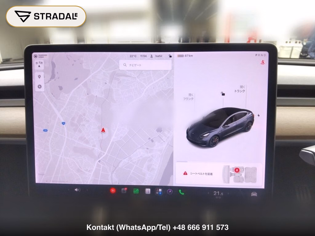 TESLA MODEL 3 4WD PERFOMANCE, miniaturka 7