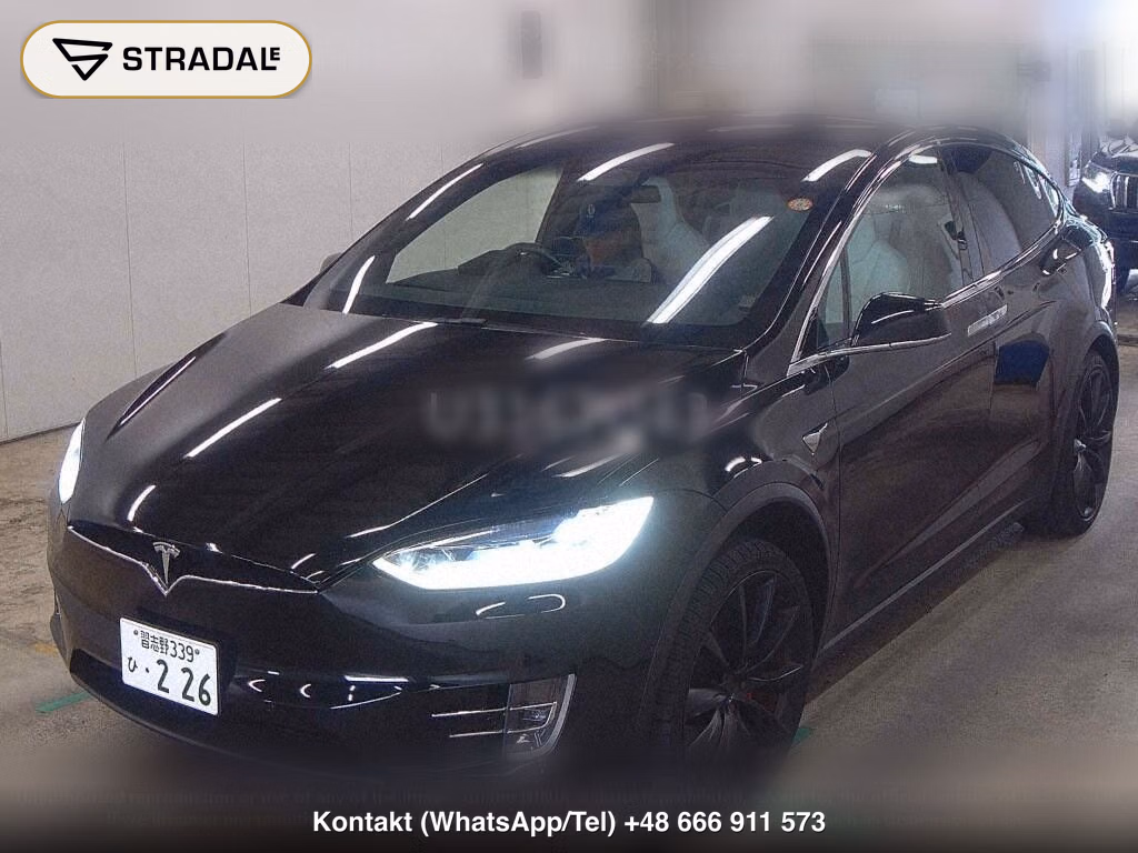 TESLA MODEL X 4WD, miniaturka 5