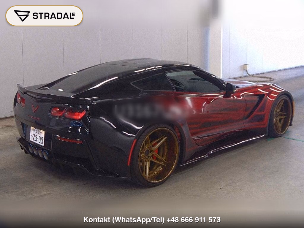 CHEVROLET CORVETTE CP, miniaturka 6