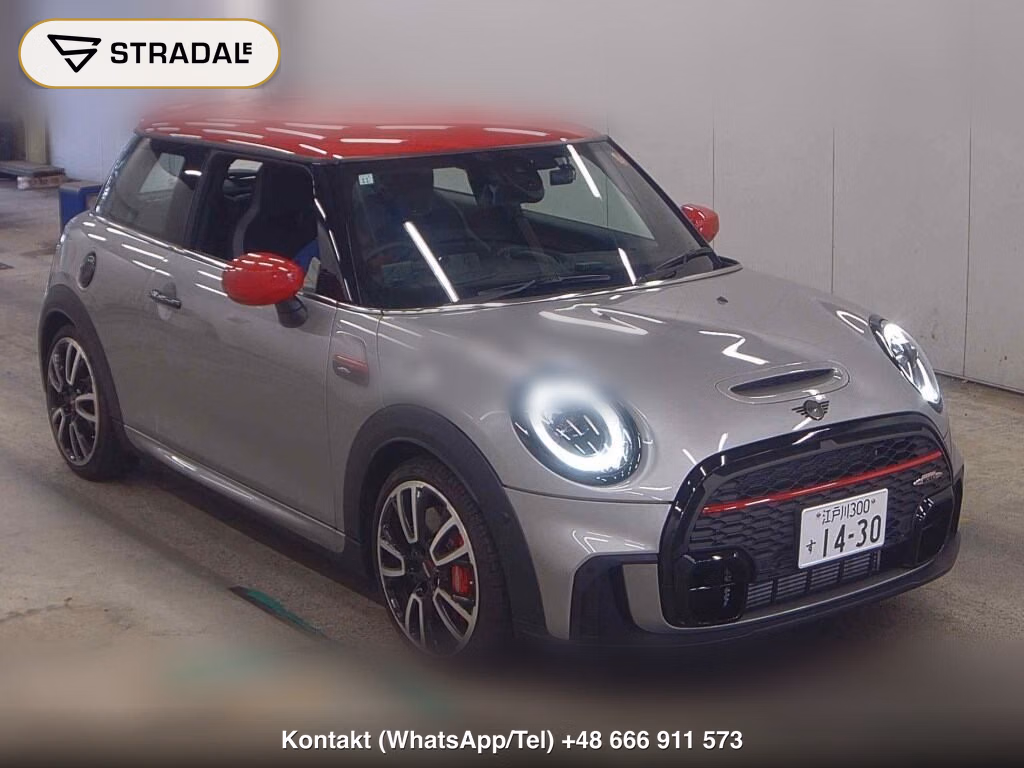 MINI MINI 3D OTHERS 2023, aukcja z Japonii, zdjęcie 1