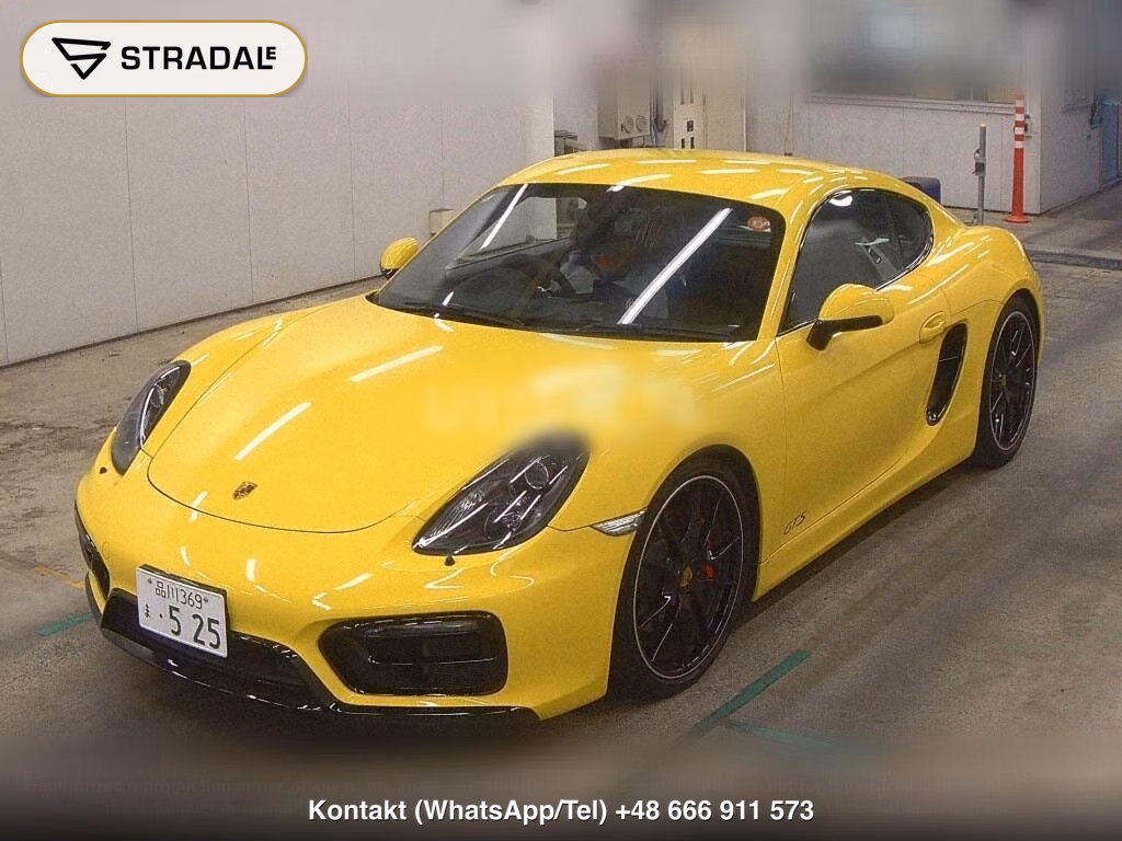PORSCHE CAYMAN GTS, miniaturka 5