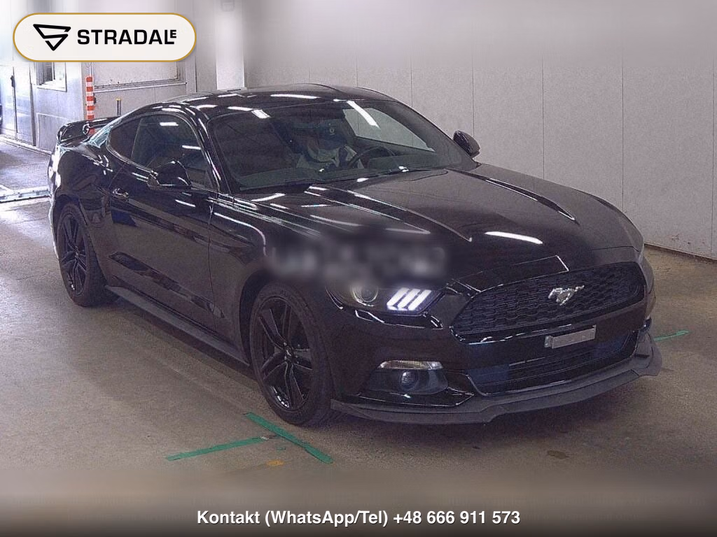FORD MUSTANG CP 50 YEARS EDITION, miniaturka 2