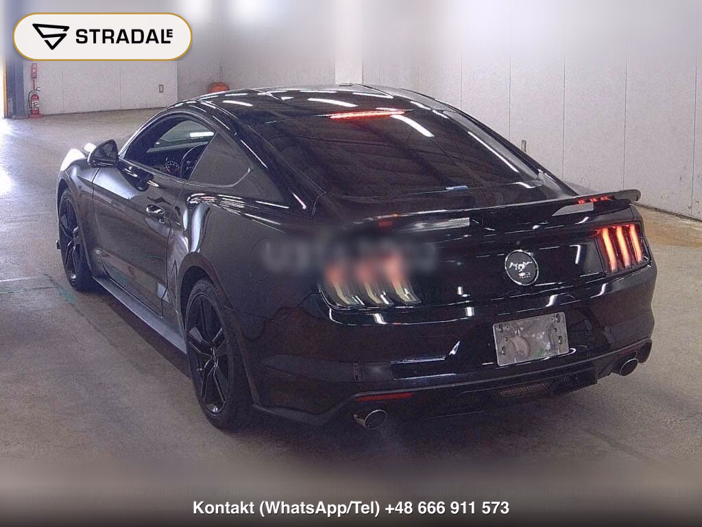 FORD MUSTANG CP 50 YEARS EDITION, miniaturka 3