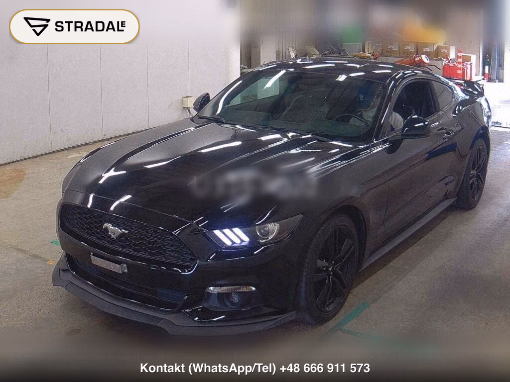FORD MUSTANG CP 50 YEARS EDITION, miniaturka 5