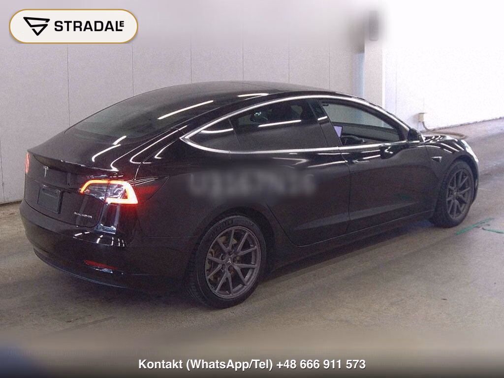 TESLA MODEL 3 4WD LONG RANGE, miniaturka 6