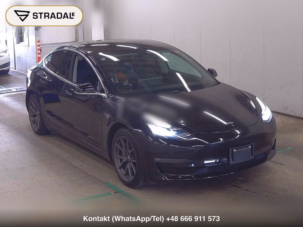TESLA MODEL 3 4WD LONG RANGE 2019, aukcja z Japonii, zdjęcie 1