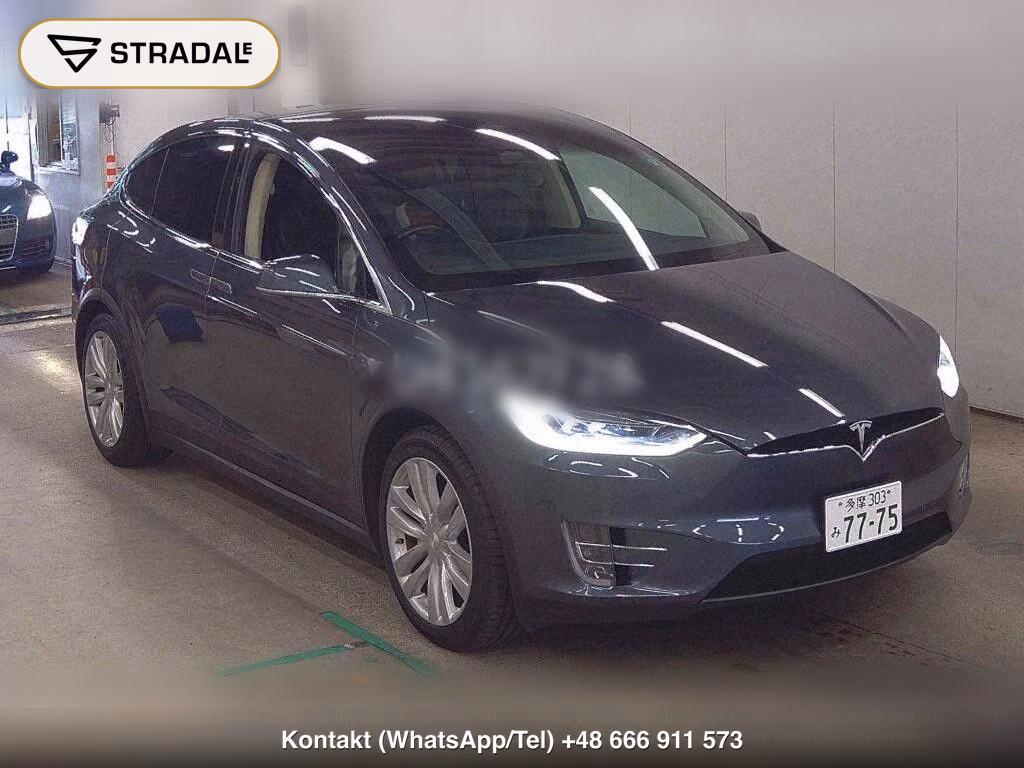 TESLA MODEL X 4WD 100D, miniaturka 2