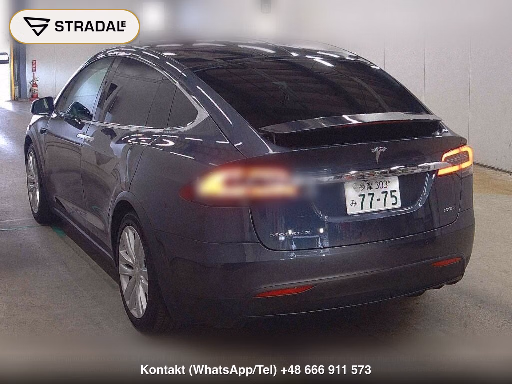 TESLA MODEL X 4WD 100D, miniaturka 3