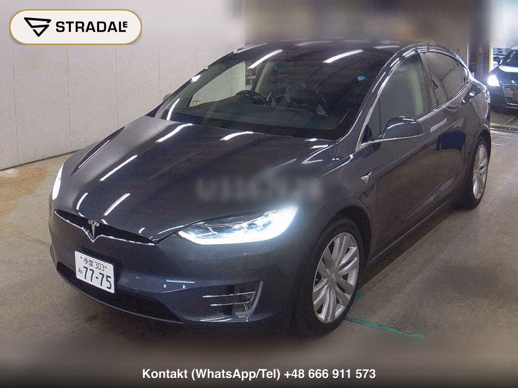 TESLA MODEL X 4WD 100D, miniaturka 5