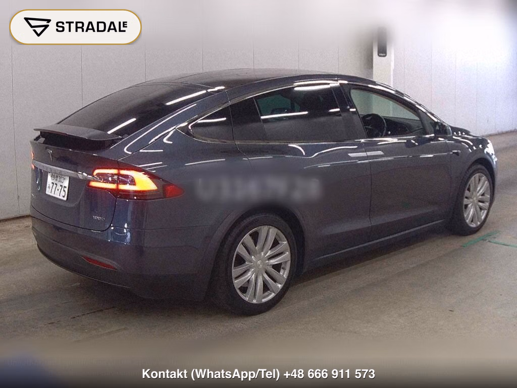 TESLA MODEL X 4WD 100D, miniaturka 6