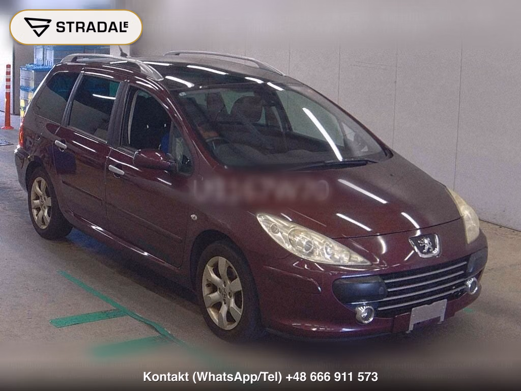 PEUGEOT 307 WG SW 2.0, miniaturka 2