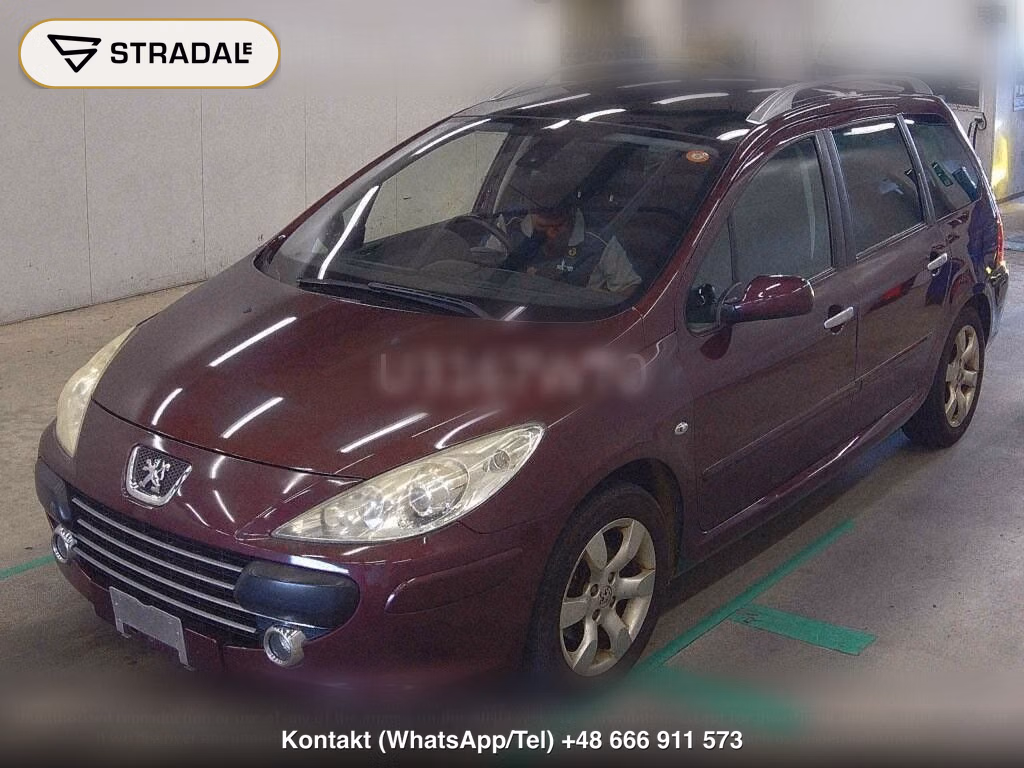 PEUGEOT 307 WG SW 2.0, miniaturka 5