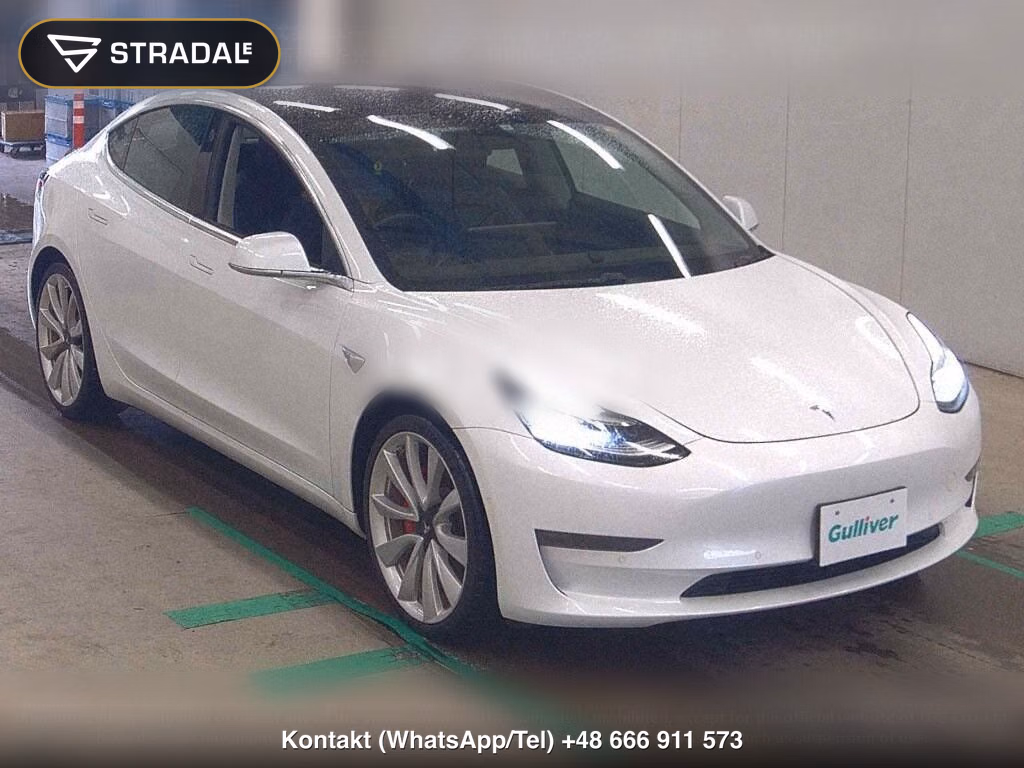 TESLA MODEL 3 4WD PERFOMANCE, miniaturka 2
