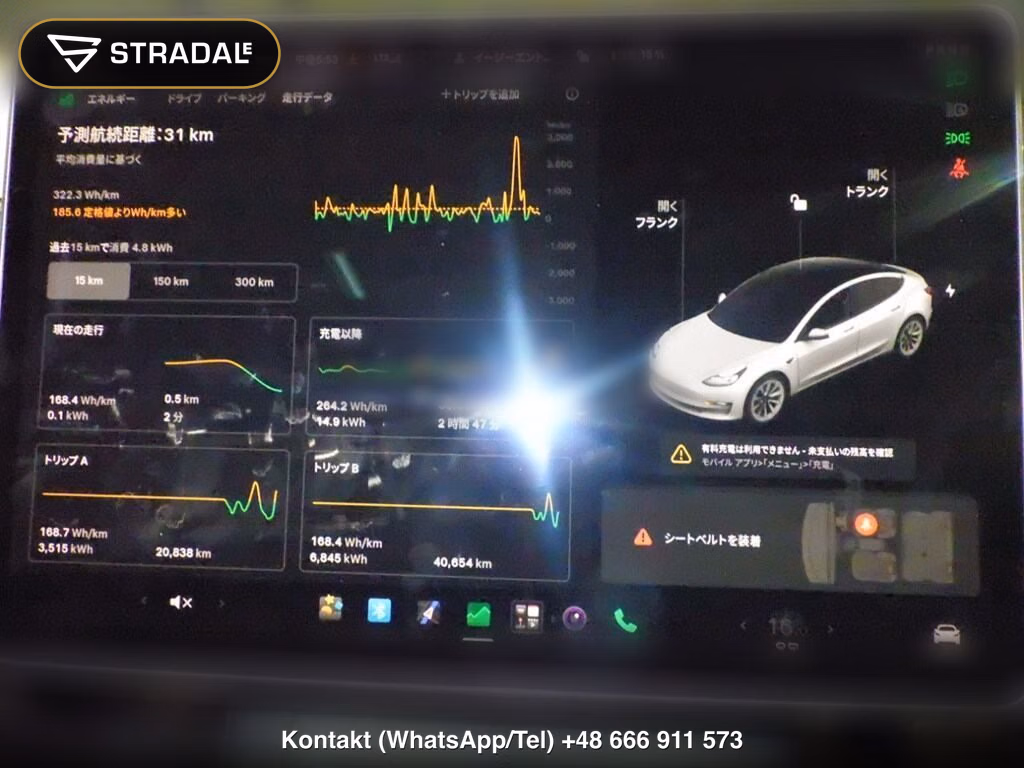 TESLA MODEL 3 4WD LONG RANGE, miniaturka 7