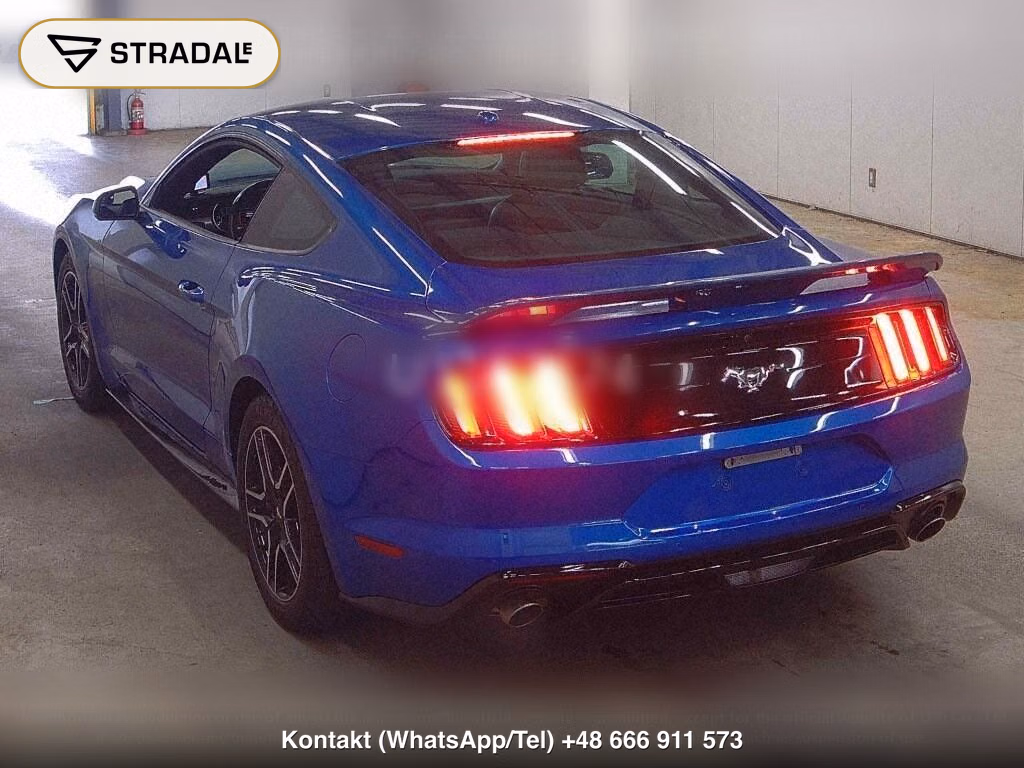 FORD MUSTANG CP ECO BOOST PREMIUM, miniaturka 3