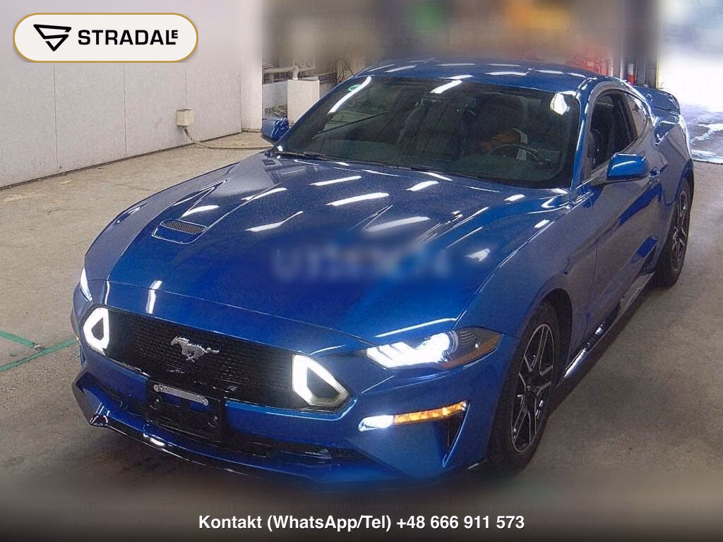 FORD MUSTANG CP ECO BOOST PREMIUM, miniaturka 5