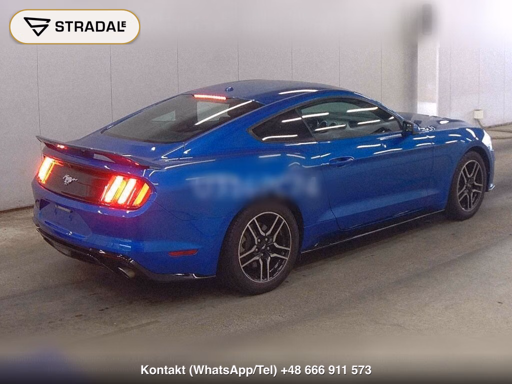 FORD MUSTANG CP ECO BOOST PREMIUM, miniaturka 6