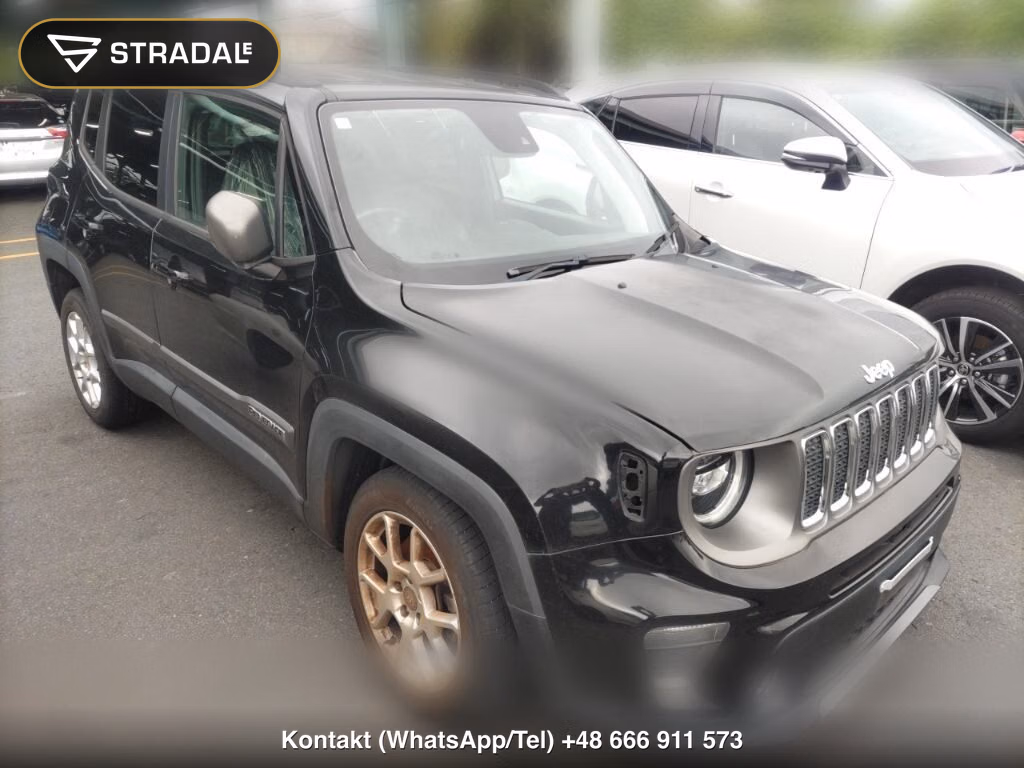 CHRYSLER JEEP JEEP RENEGADE LIMITED 2019, aukcja z Japonii, zdjęcie 1
