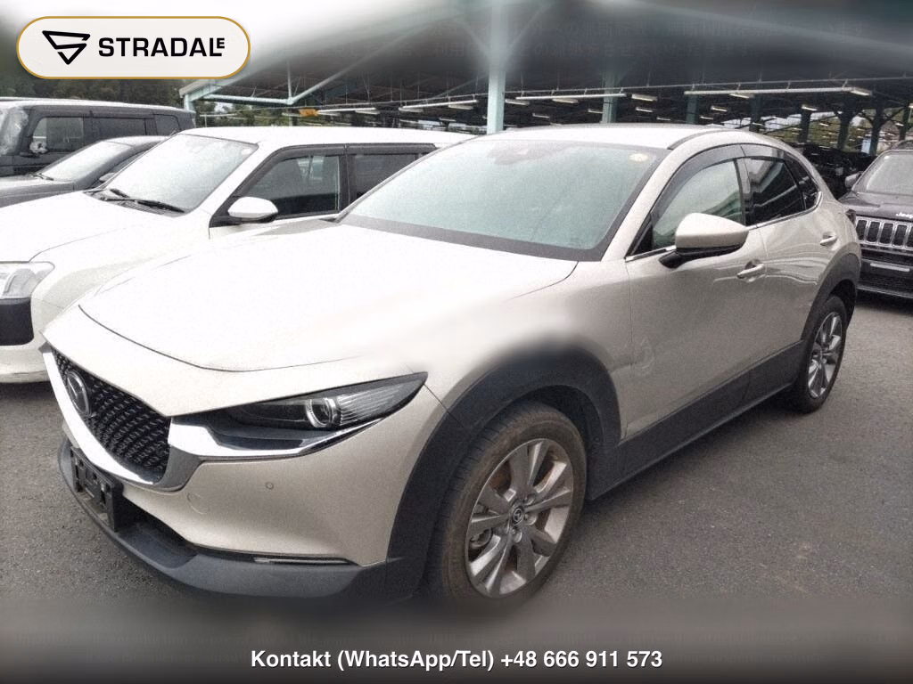 MAZDA CX-30 20S PROACTIVE, miniaturka 5