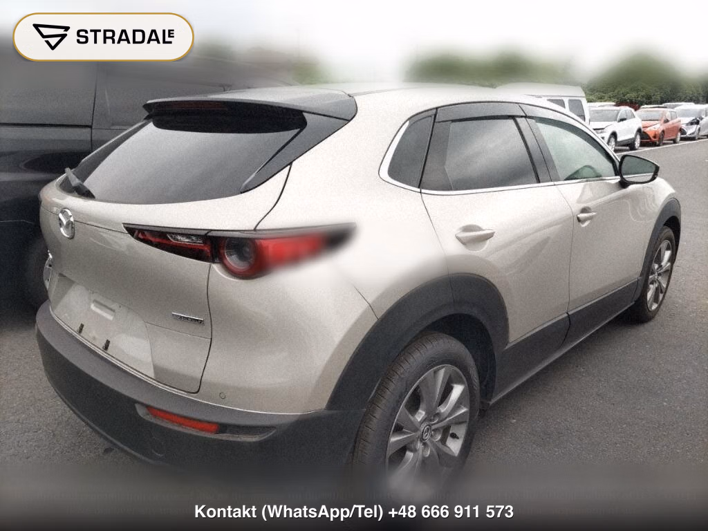 MAZDA CX-30 20S PROACTIVE, miniaturka 6