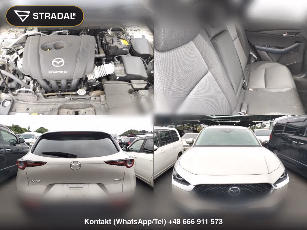 MAZDA CX-30 20S PROACTIVE, miniaturka 7
