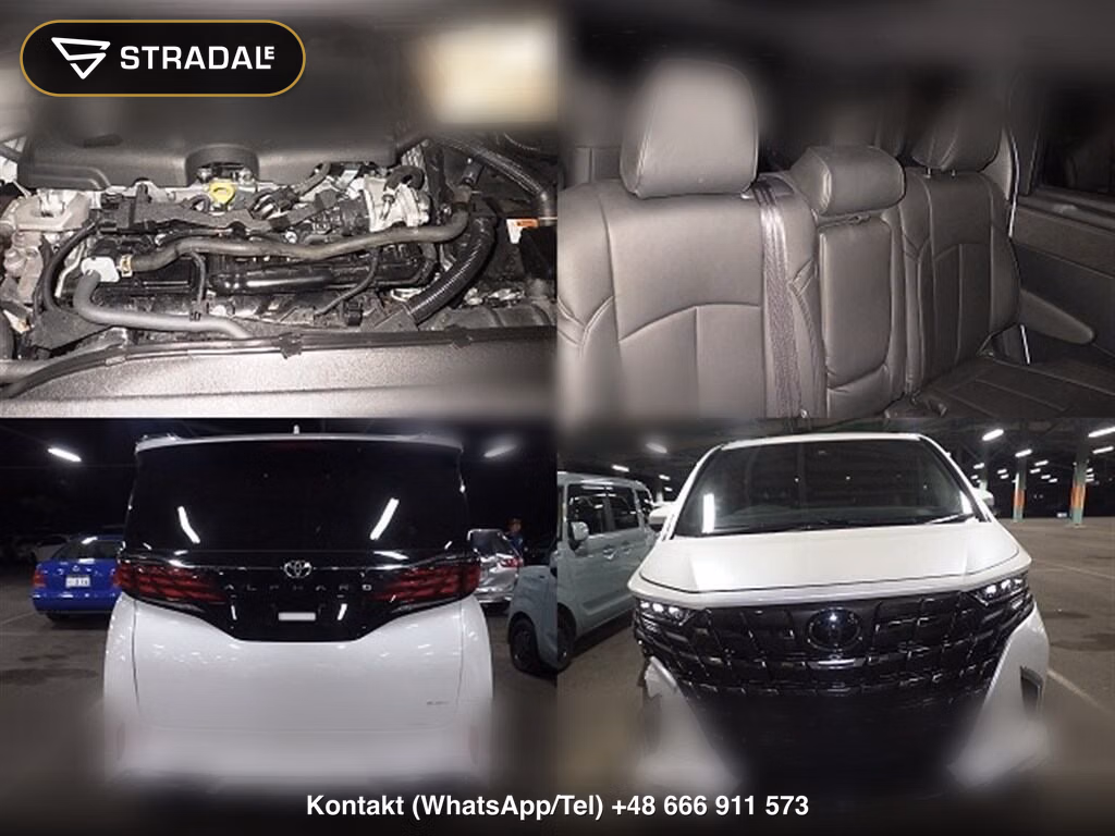 TOYOTA ALPHARD HYBRID X, miniaturka 7