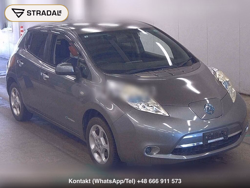 NISSAN LEAF X, miniaturka 2