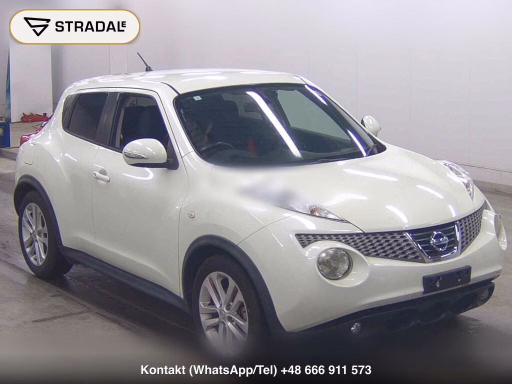 NISSAN JUKE OTHERS 2011, aukcja z Japonii, zdjęcie 1