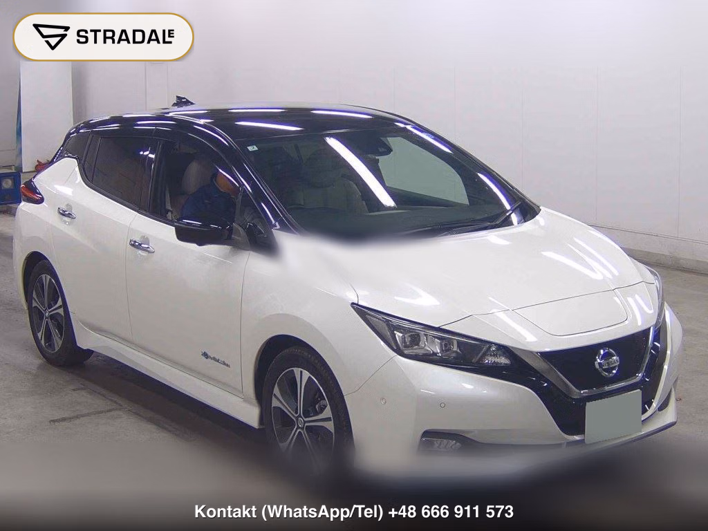 NISSAN LEAF E+ G 2019, aukcja z Japonii, zdjęcie 1