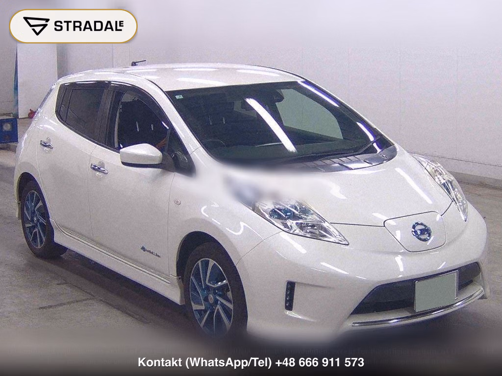 NISSAN LEAF X AERO STYLE THANKS EDITION(30KWH), miniaturka 2