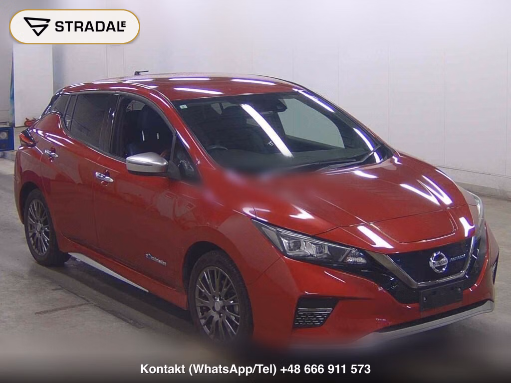 NISSAN LEAF E+ AUTECH 2019, aukcja z Japonii, zdjęcie 1