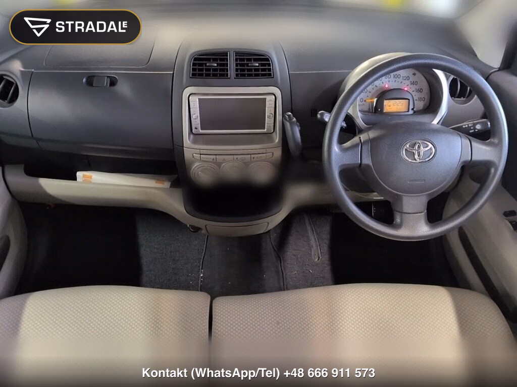 TOYOTA PASSO X IRODORI, miniaturka 4
