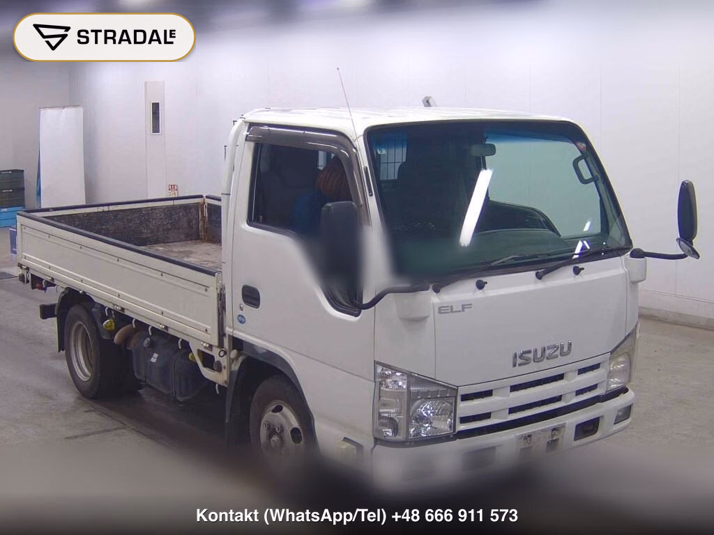 ISUZU ELF TRUCK 2D 2010, aukcja z Japonii, zdjęcie 1
