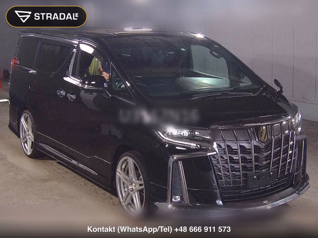 TOYOTA ALPHARD S TYPE GOLDⅢ, miniaturka 2