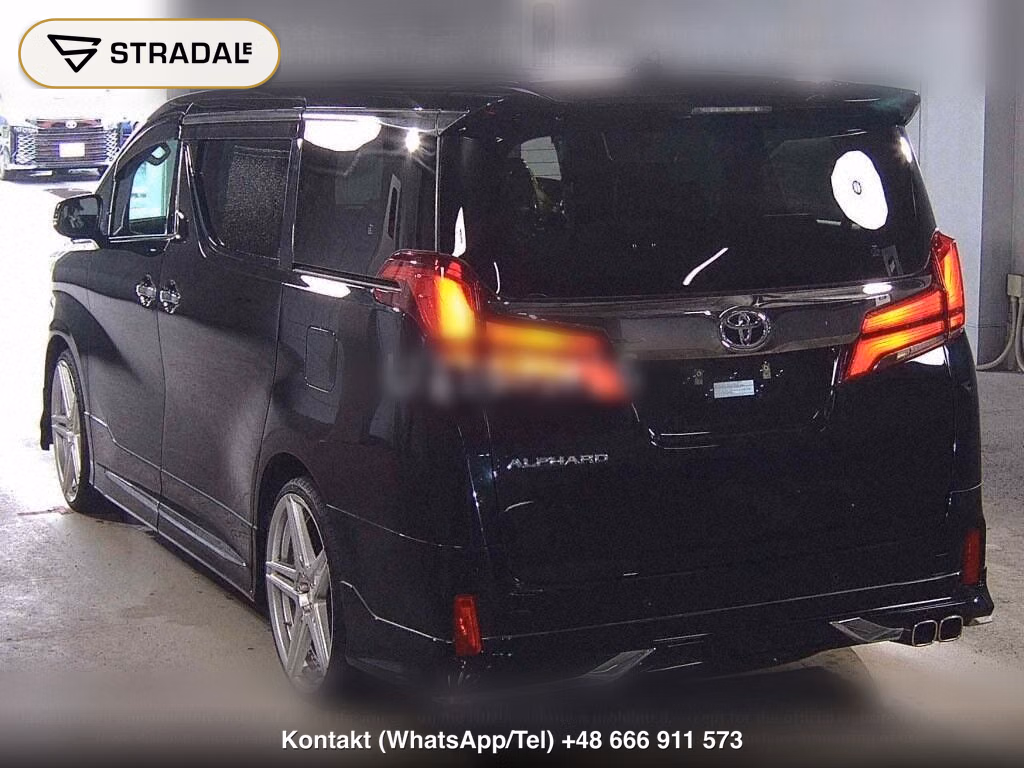 TOYOTA ALPHARD S TYPE GOLDⅢ, miniaturka 3