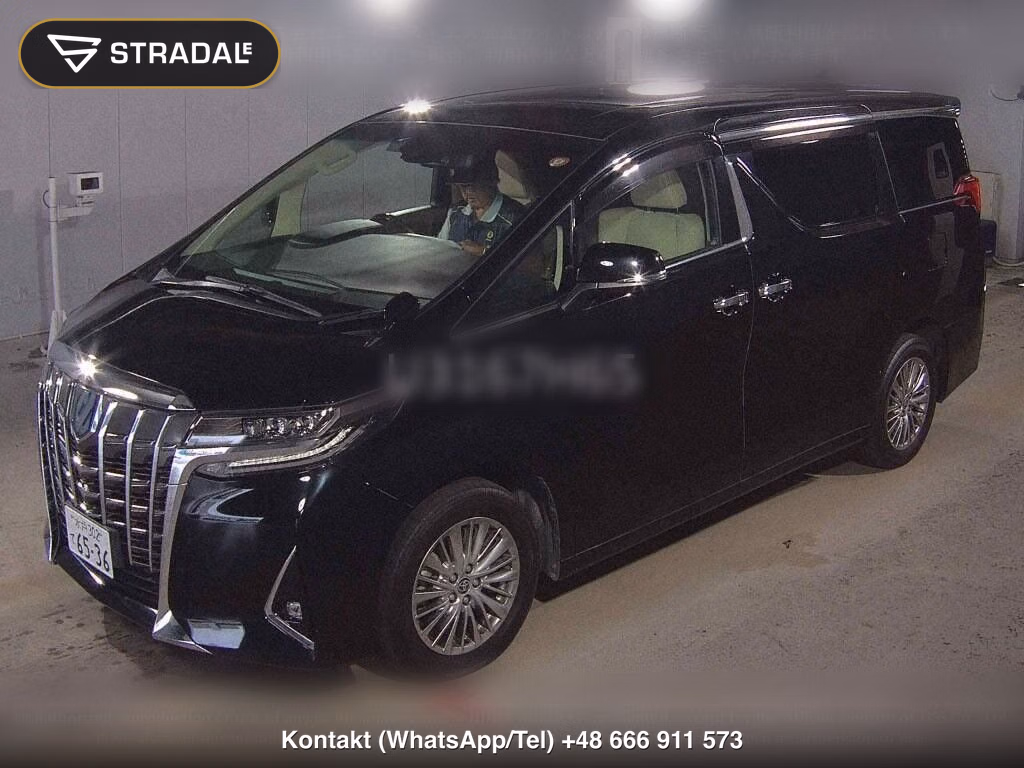 TOYOTA ALPHARD HYBRID 4WD G F PACKAGE, miniaturka 5