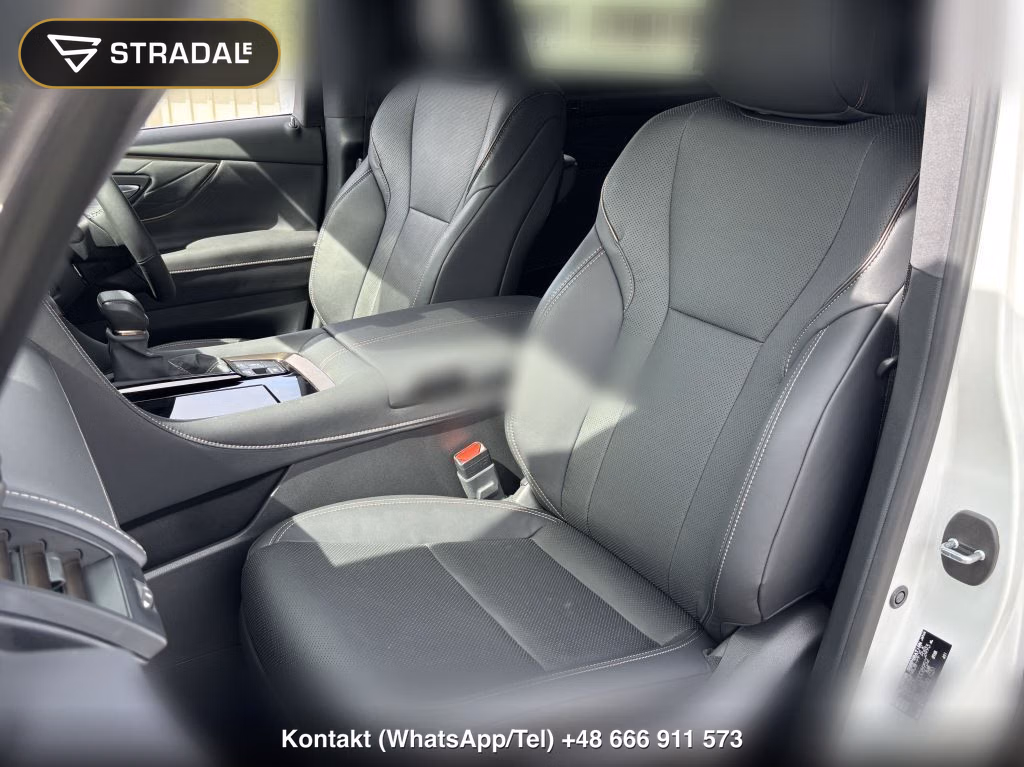 TOYOTA ALPHARD Z, miniaturka 9