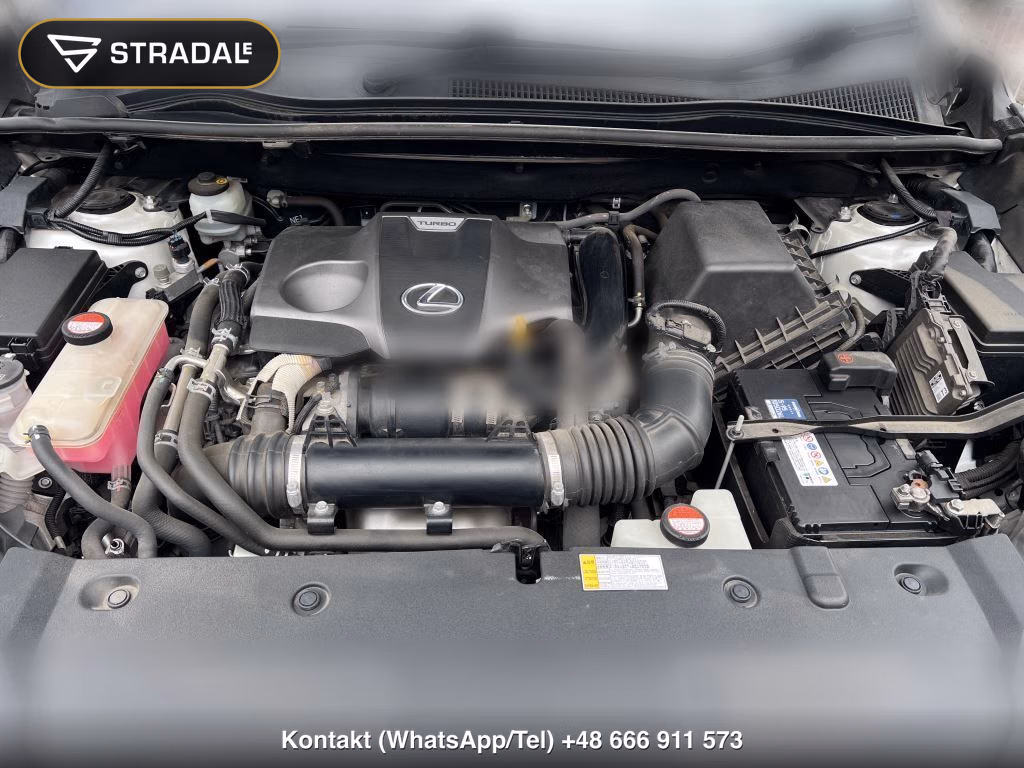 LEXUS NX NX200T I PACKAGE, miniaturka 12
