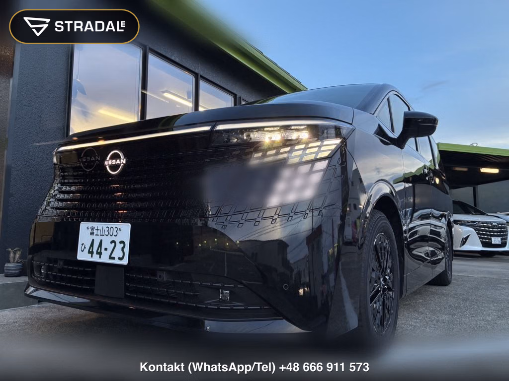 NISSAN ELGRAND 5D 4WD G E-4ORCE, miniaturka 10