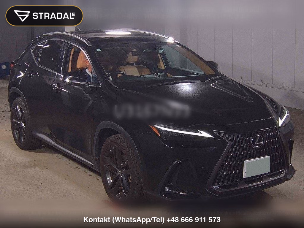 LEXUS NX NX250 VERSION L, miniaturka 2